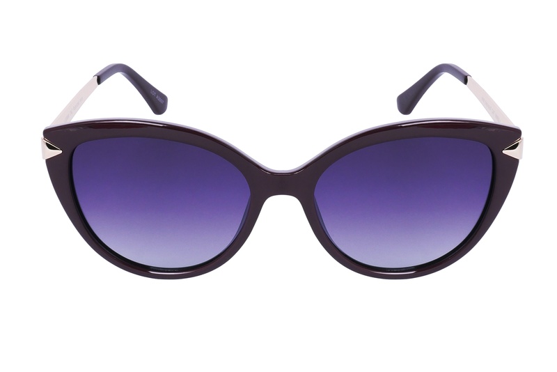 Polarview PV 850 F