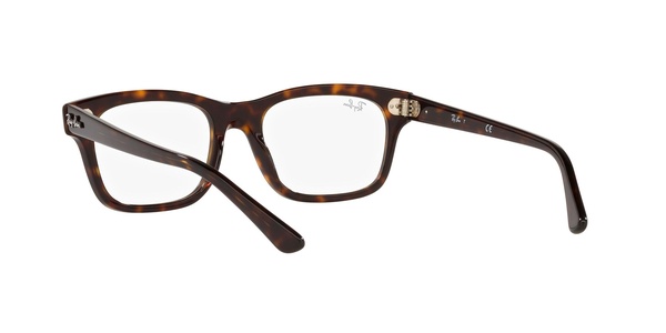 Ray-Ban RB 5383 2012 54-19