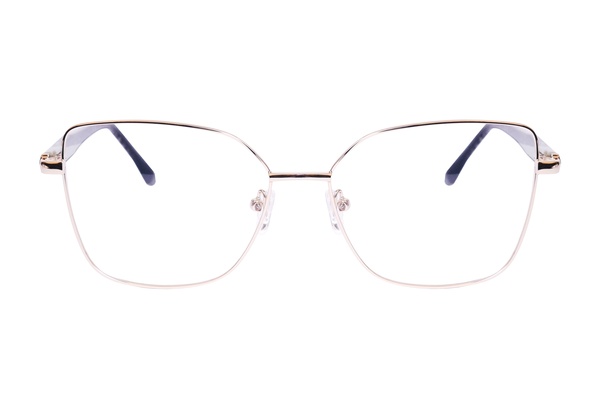 Icone D 3491 C6 54-15