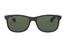 Ray-Ban RB 4202 6069/71 55-17