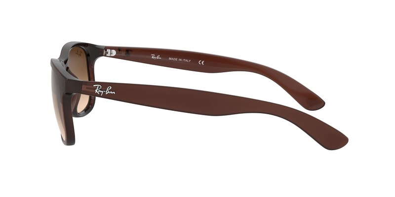 Rayban RB 4202 6073/13 55-17