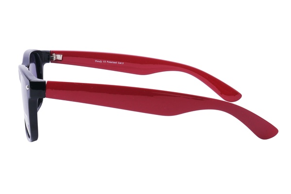 Trendy P 6069 C2 54-19