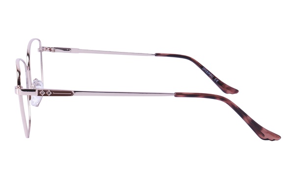 Diverso V230926 C4 54-17