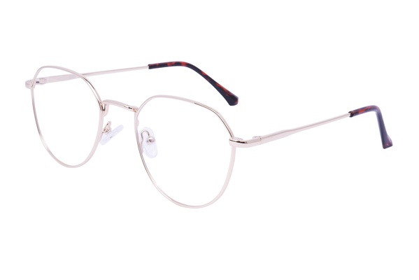 Diverso 884206 C1 51-20