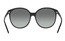 Vogue VO 5509S W44/11 56-17