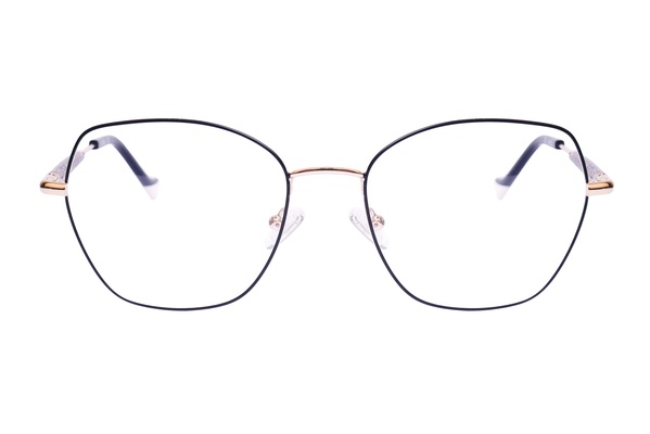 Icone D 3509 C1 56-19