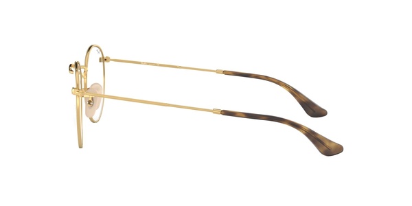 Ray-Ban RB 3447V 2500 50-21