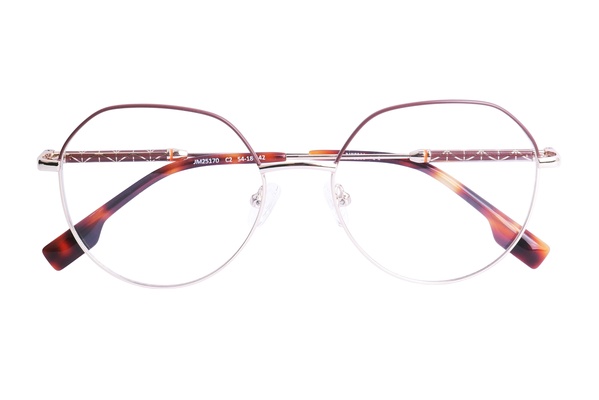 Diverso JM 25170 C2 54-18