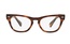 Ray-Ban RB 2201V 2144 54-20