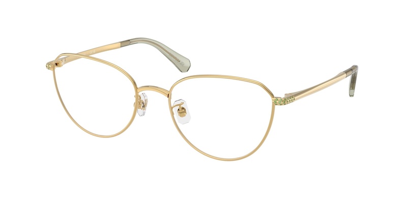 Swarovski SK 1029D 4017 54-19