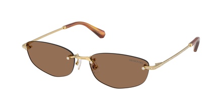 Swarovski SK 7045D 400473 57-16