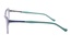 Icone TF 6520 C3 54-17