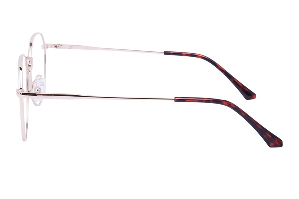 Diverso 884206 C1 51-20