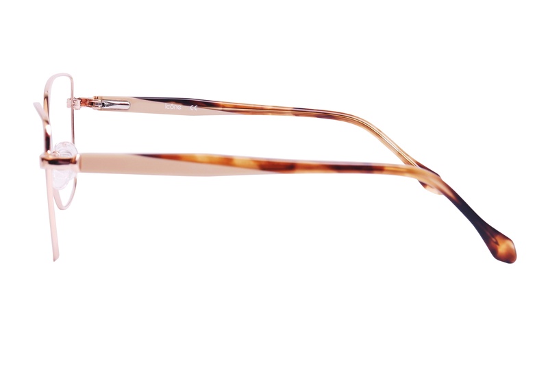 Icone D 3491 C2 54-15