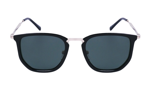 Polarview PV 302 A
