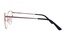 Vertice 1817 C2 53-19