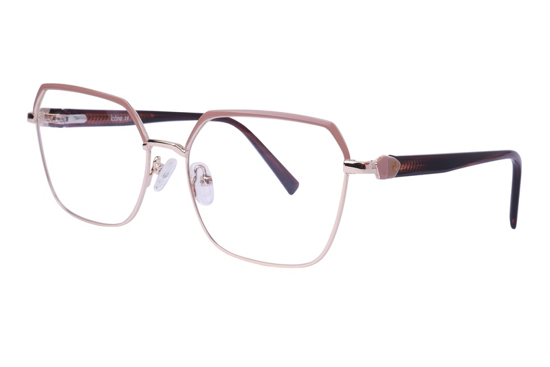 Icone D 3405 C5 53-16