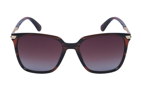 A-z CHIC 6914 BP