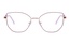 Icone D 3433 C5 53-17