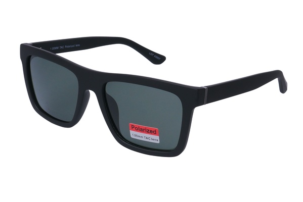 Polarview PV 650 C