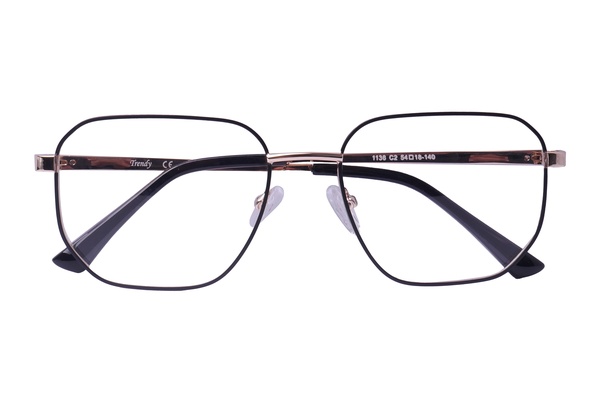 Trendy 1136 C2 54-18
