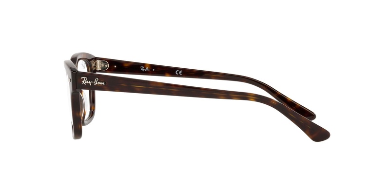 Ray-Ban RB 5383 2012 54-19