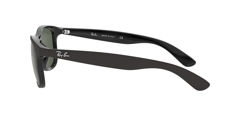Ray-Ban RB 4202 6069/71 55-17