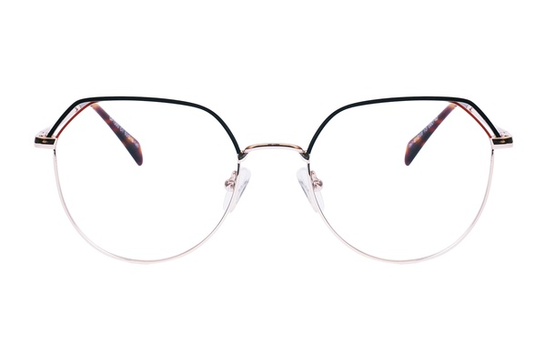 Trendy GF 1293 C1 53-19