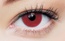 Clearcolor Phantom 1Day Red Vampire FN102N (2 tk)