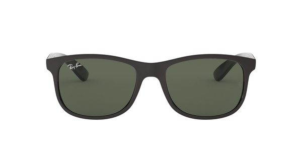 Ray-Ban RB 4202 6069/71 55-17