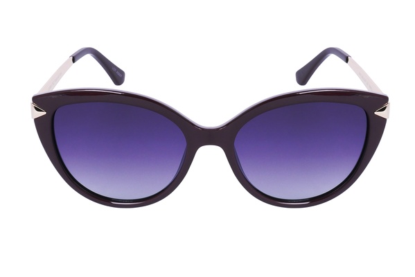 Polarview PV 850 F