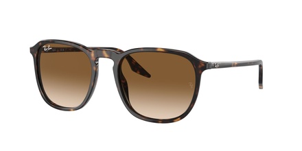 Rayban RB 2203 902/51 55-20