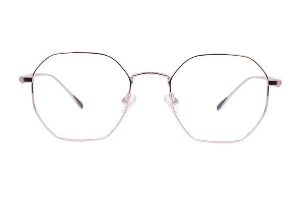 Icone HH 31034 C2 51-20