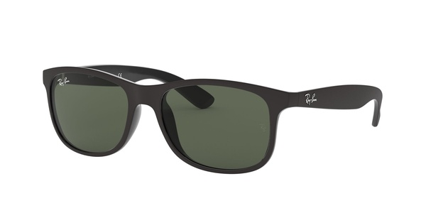 Ray-Ban RB 4202 6069/71 55-17