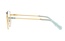 Swarovski SK 1007 4021 55-18