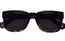 parafina  OROYA BLK/TORT 54-19-145
