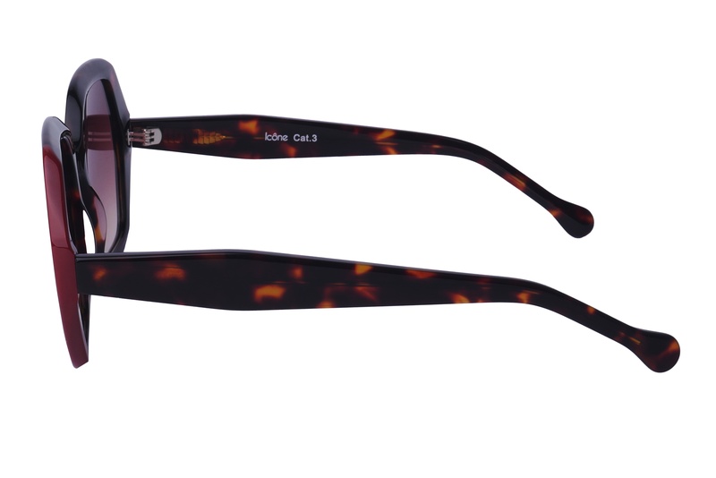 Icone AS 8810 C3 55-20