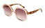 Ted Baker 1685 271 55-20