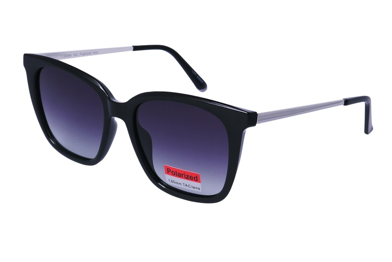 Polarview PV 840 B
