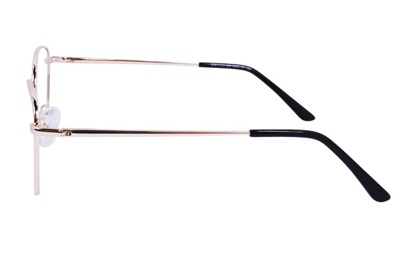 Your line DM 1175 C2 53-16