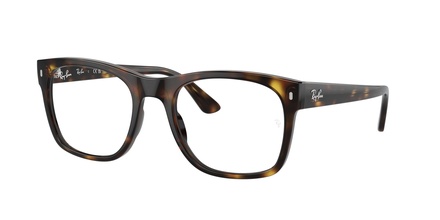 Rayban RB 7228 2012 55-21