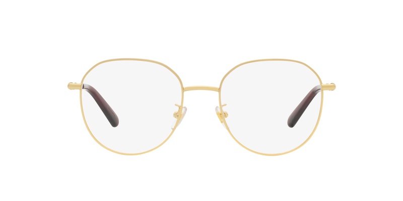 Versace 1282D 1491 53-19