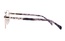 Icone D 3388 C2 53-17
