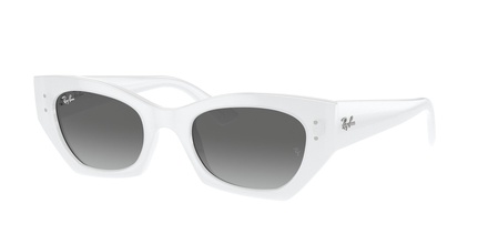 Rayban RB 4430 6759/11 52-22