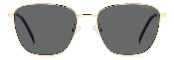 Polaroid PLD 4159GS J5GM9 56-17