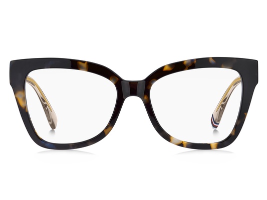 T.hilfiger TH 2053 1ZN 53-17