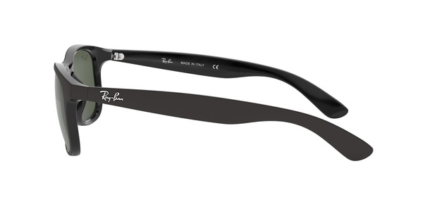 Ray-Ban RB 4202 6069/71 55-17