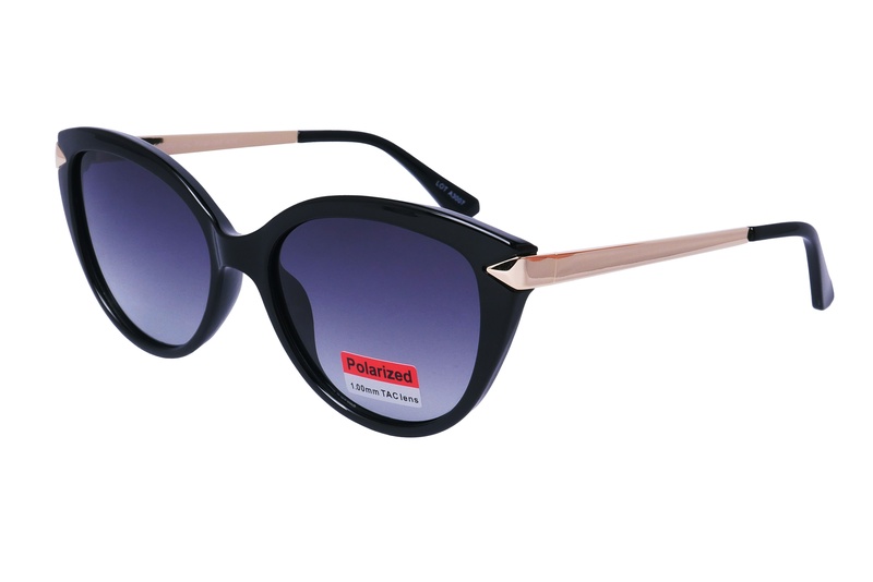 Polarview PV 850 A