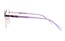 Icone D 3433 C5 53-17