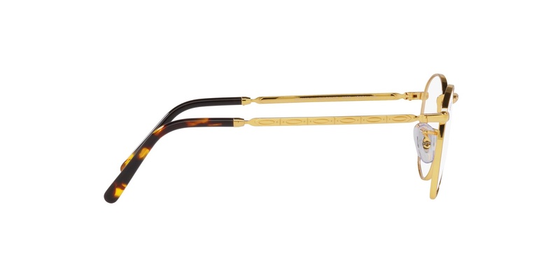 Ray-Ban RB 3637V 3086 53-21